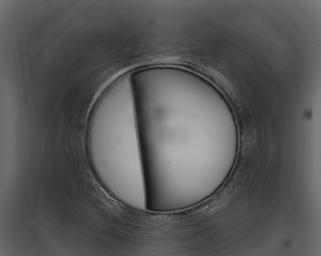X0000097811212200803140751