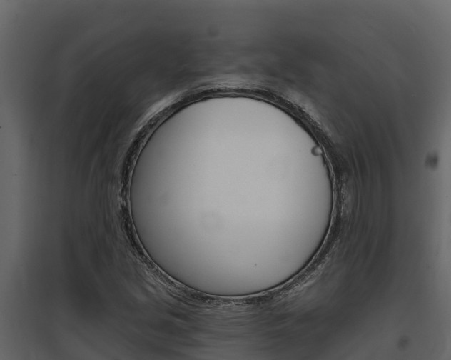 X0000097811213200803140751