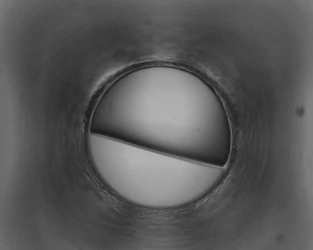 X0000097811214200803140751