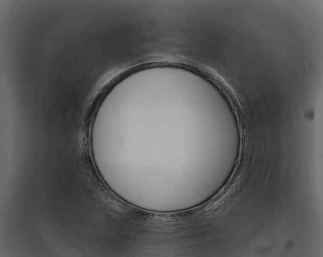 X0000097811215200803140751