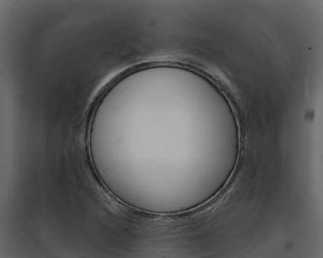 X0000097811216200803140751