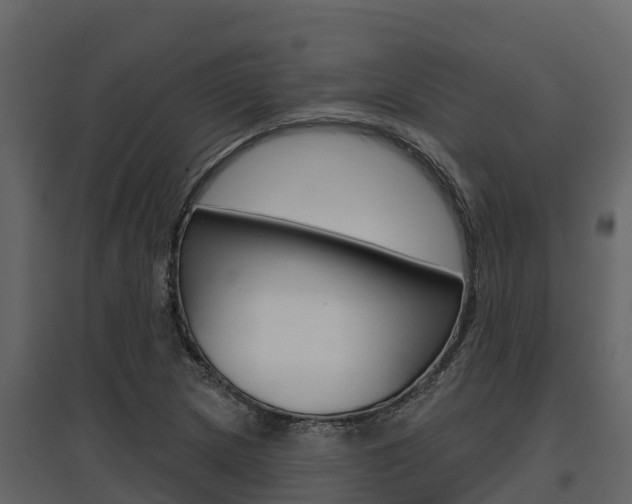 X0000097811217200803140751