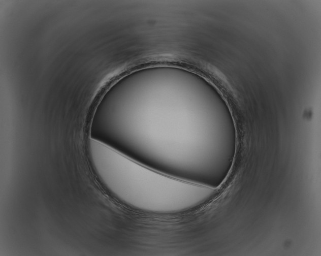 X0000097811218200803140751