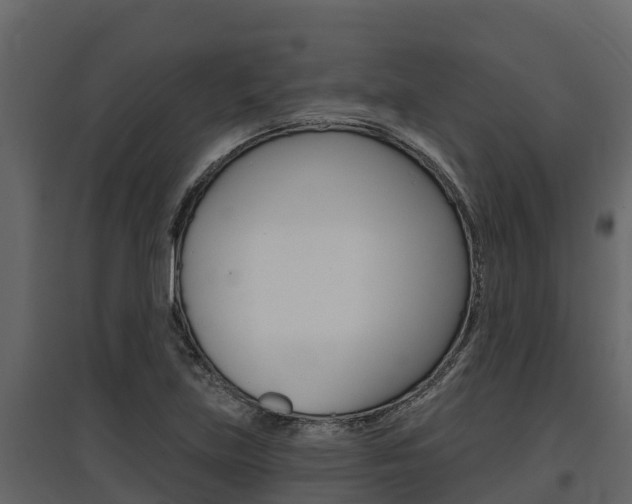 X0000097811219200803140751