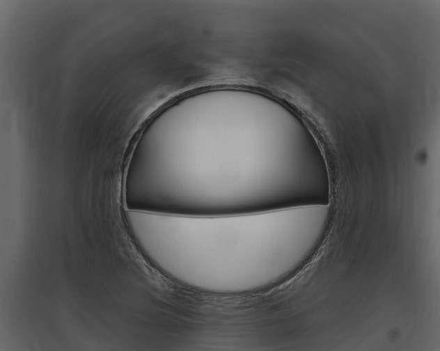 X0000097811220200803140751