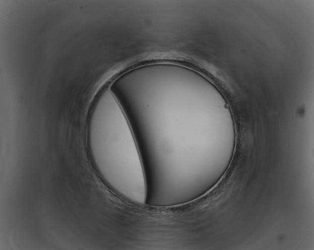 X0000097811221200803140751