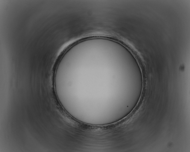 X0000097811222200803140751
