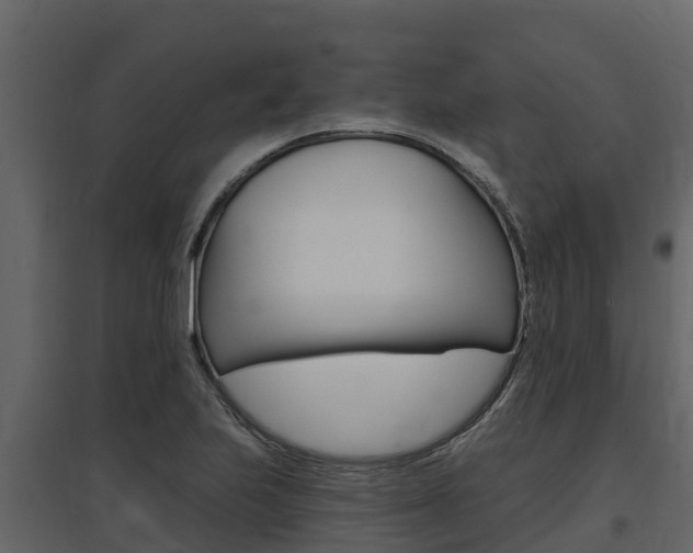 X0000097811223200803140751