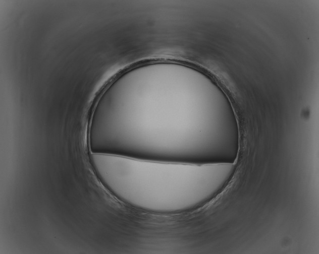 X0000097811224200803140751