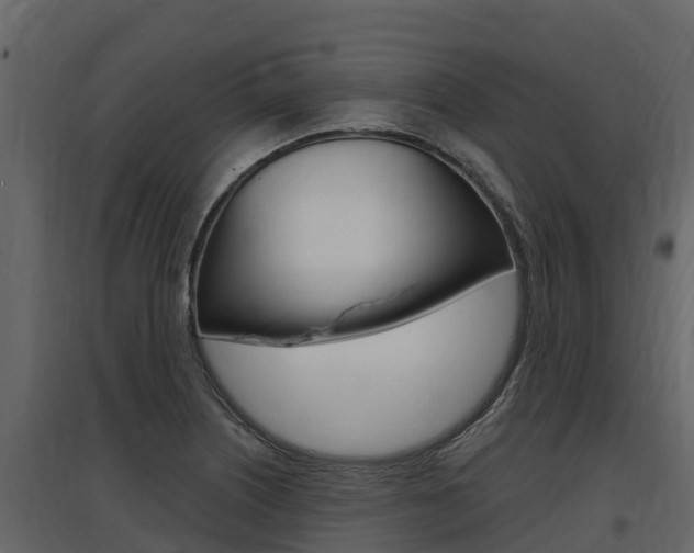X0000097811226200803140751