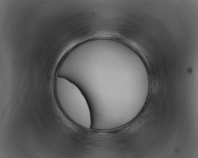 X0000097811227200803140751
