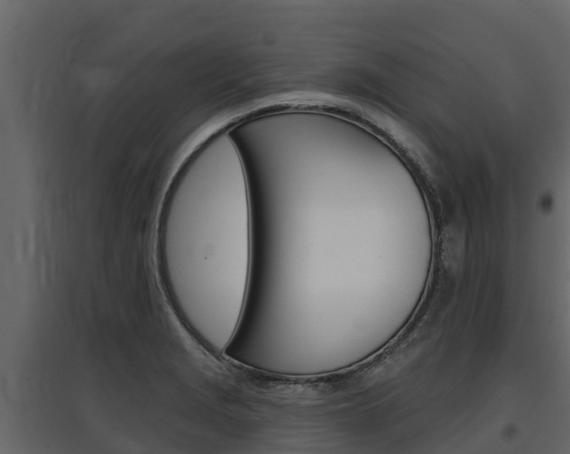 X0000097811229200803140751