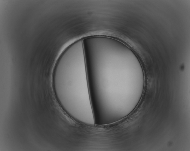 X0000097811230200803140751