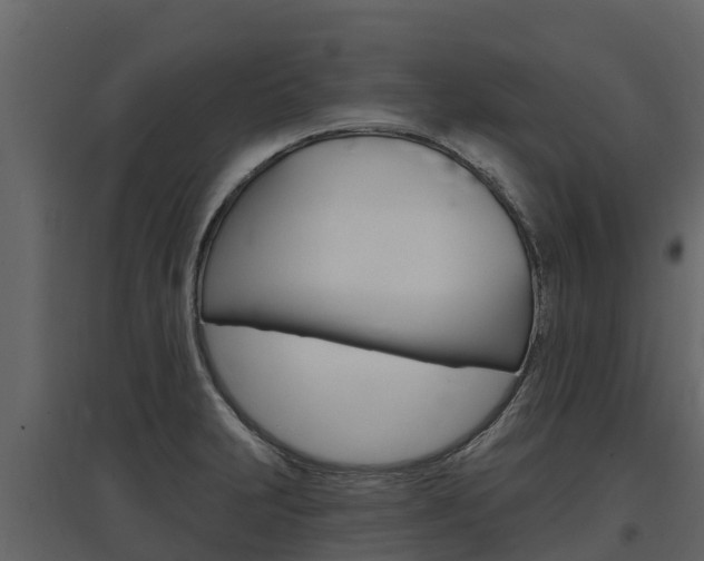 X0000097811231200803140751