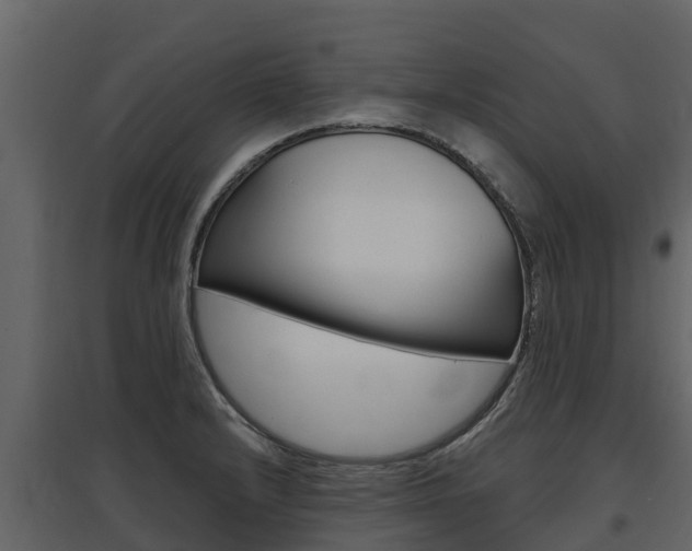 X0000097811232200803140751