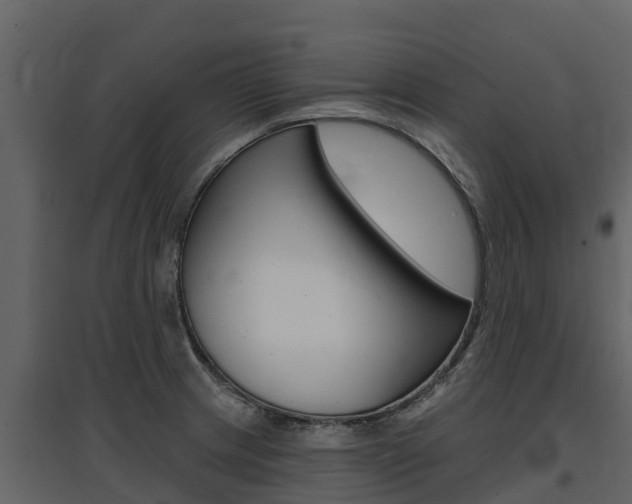 X0000097811233200803140751