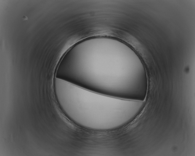 X0000097811234200803140751