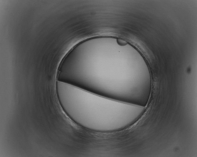X0000097811236200803140751