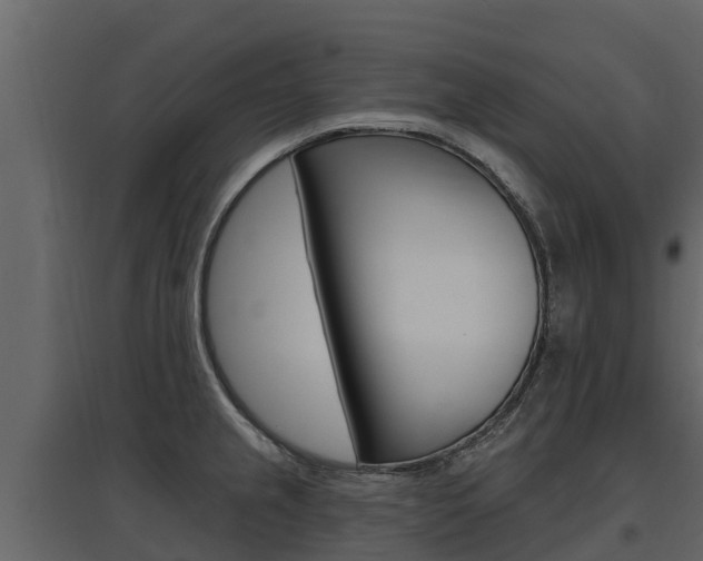 X0000097811237200803140751