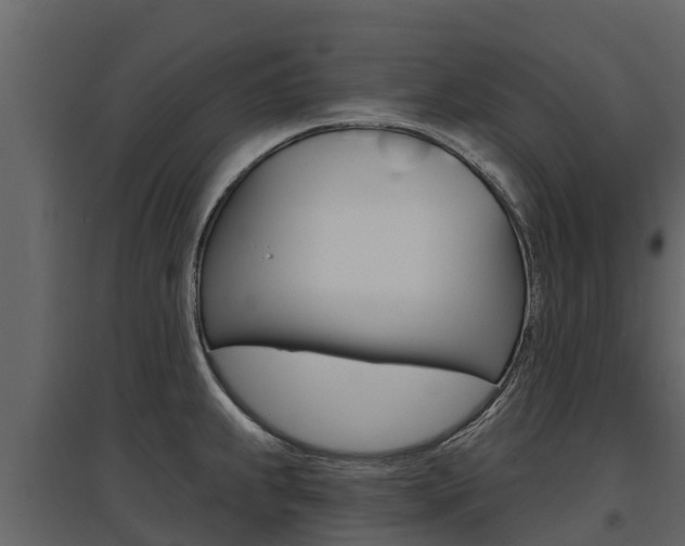 X0000097811239200803140751