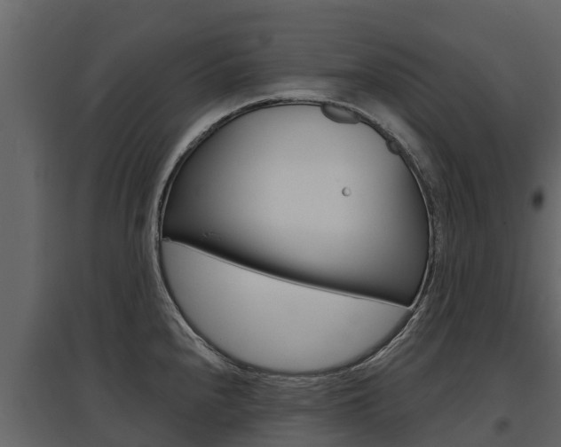 X0000097811240200803140751