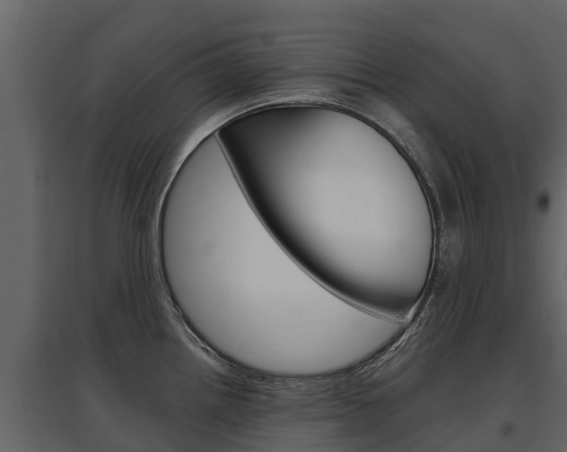 X0000097811242200803140751