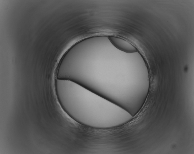 X0000097811243200803140751