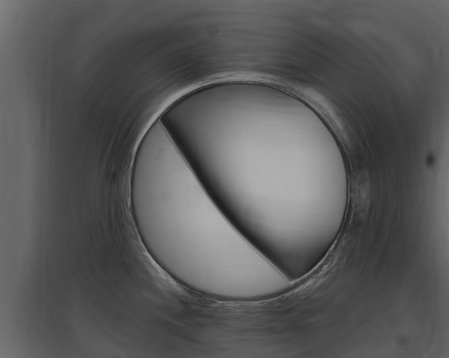 X0000097811244200803140751