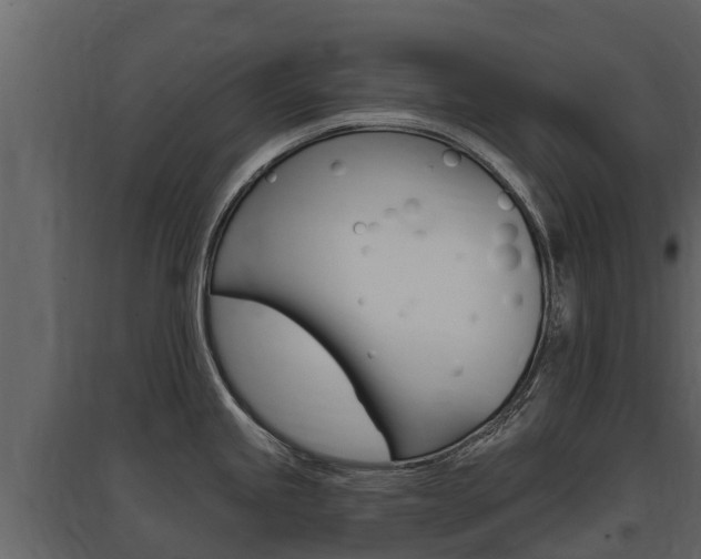 X0000097811245200803140751