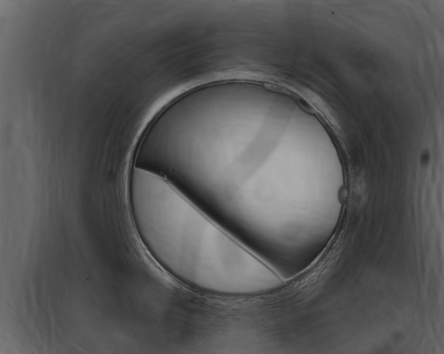 X0000097811246200803140752