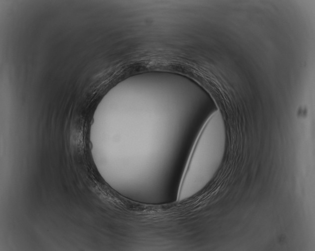 X0000097811250200803140751