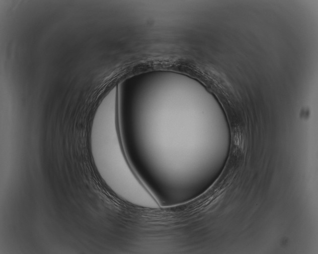 X0000097811252200803140751