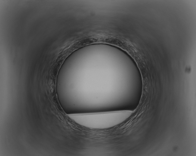 X0000097811253200803140751