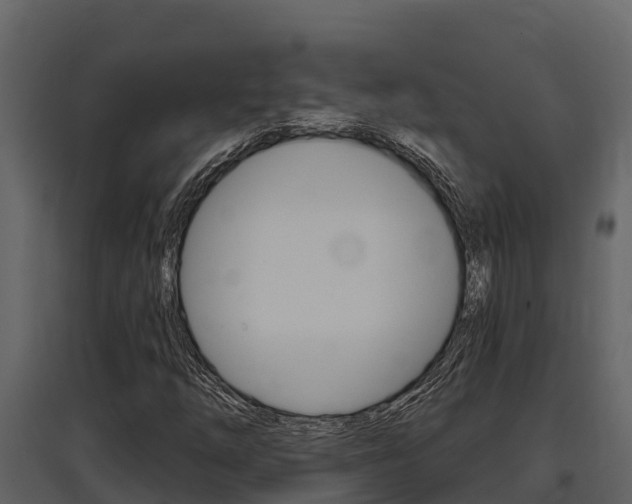 X0000097811254200803140751