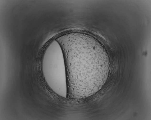 X0000097811255200803140751