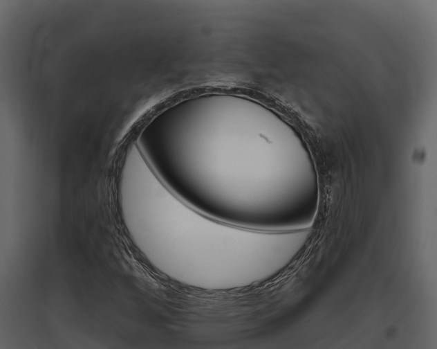 X0000097811256200803140751