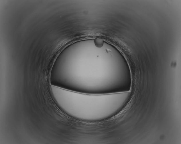 X0000097811257200803140751