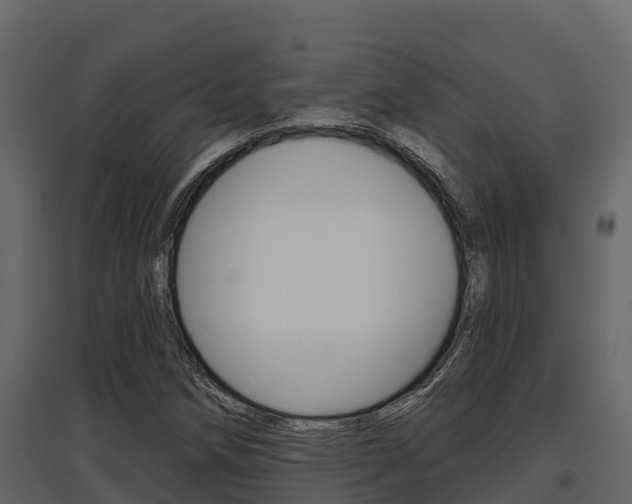 X0000097811258200803140751