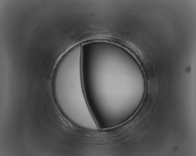X0000097811260200803140751