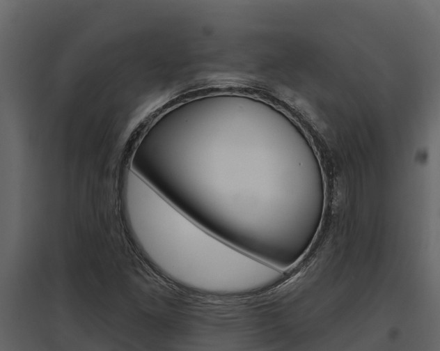 X0000097811261200803140751