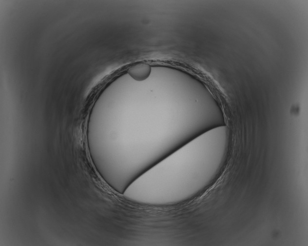 X0000097811262200803140751