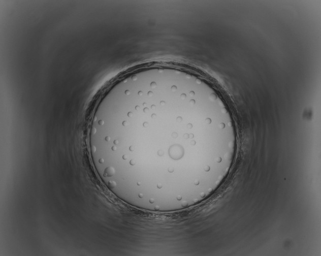 X0000097811263200803140751