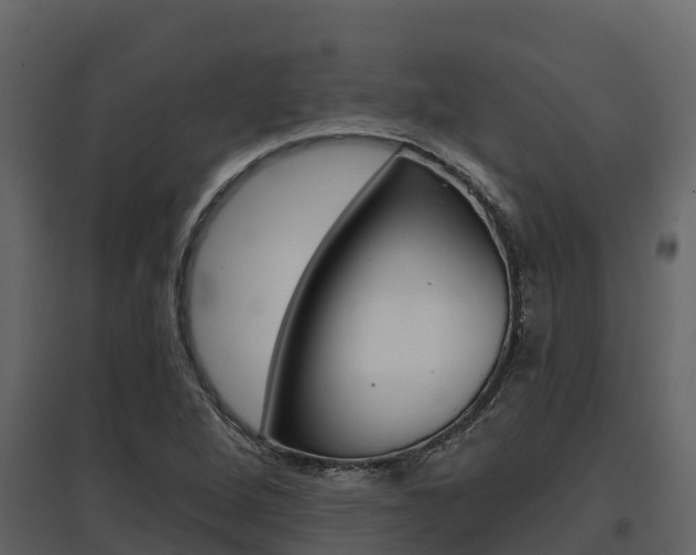 X0000097811264200803140751