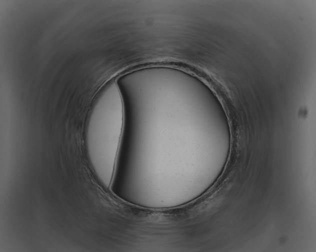 X0000097811265200803140751