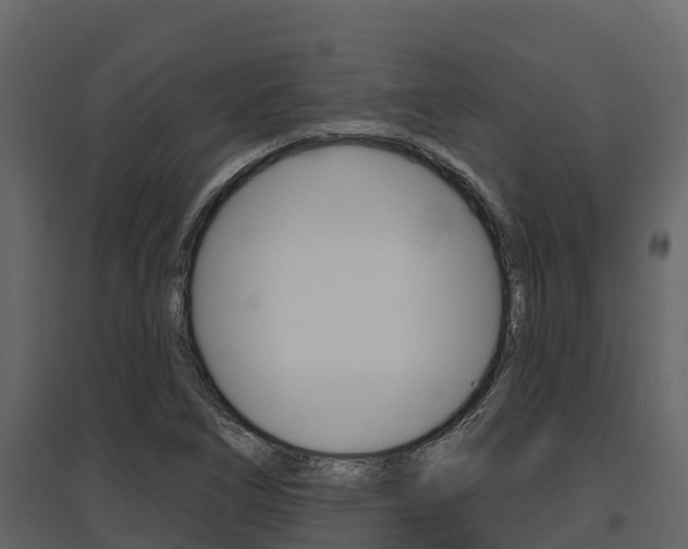 X0000097811266200803140751