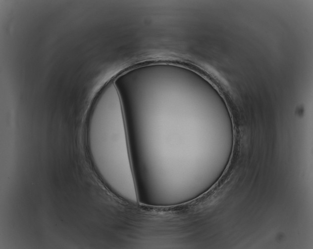 X0000097811269200803140750