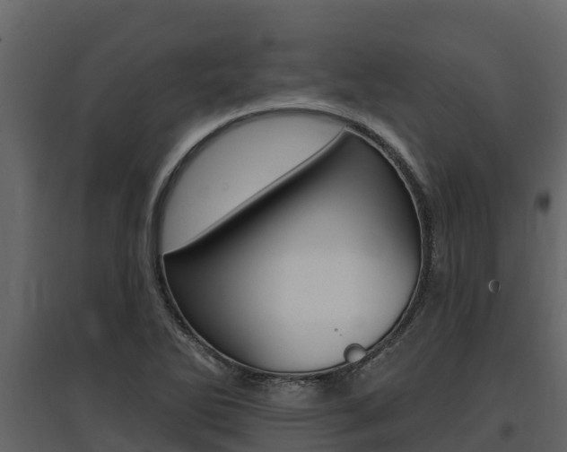 X0000097811270200803140750