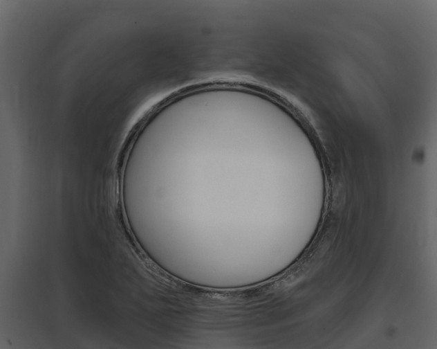 X0000097811271200803140750
