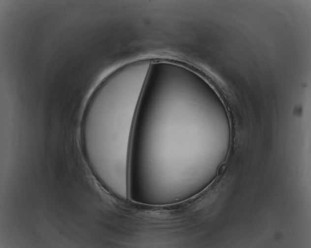 X0000097811272200803140750
