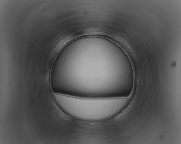 X0000097811273200803140750